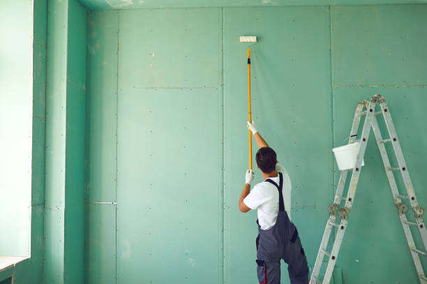 Best Mold Damage Restoration  in Lakewood, IL