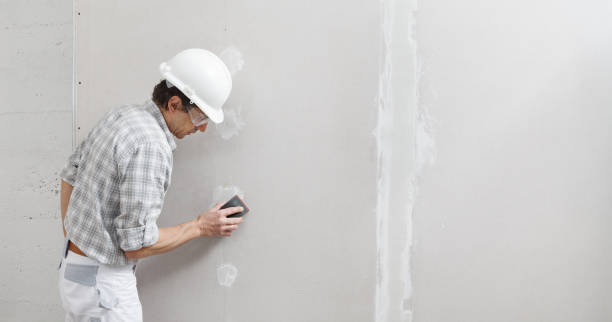 Best Basement Mold Removal  in Lakewood, IL