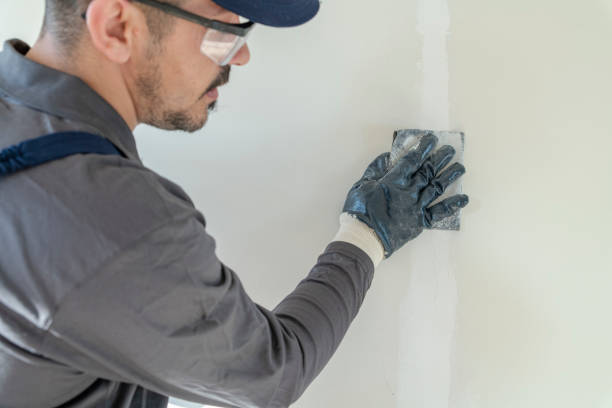 Professional Mold Removal in Lakewood, IL
