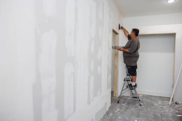 Best Mold Removal for HVAC Installations  in Lakewood, IL
