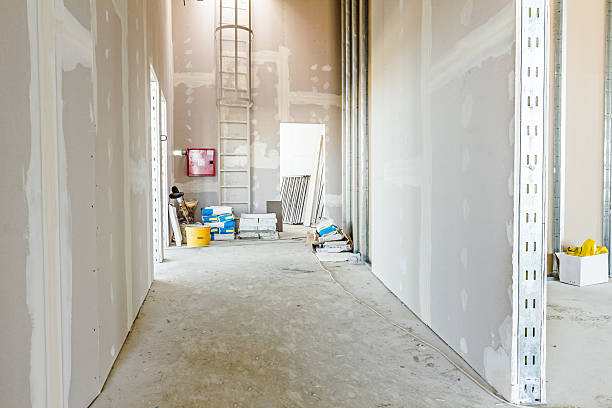 Best Residential Mold Inspection & Testing  in Lakewood, IL