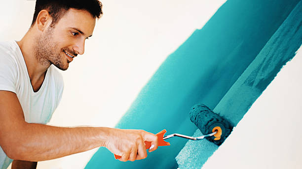 Best Attic Mold Removal  in Lakewood, IL