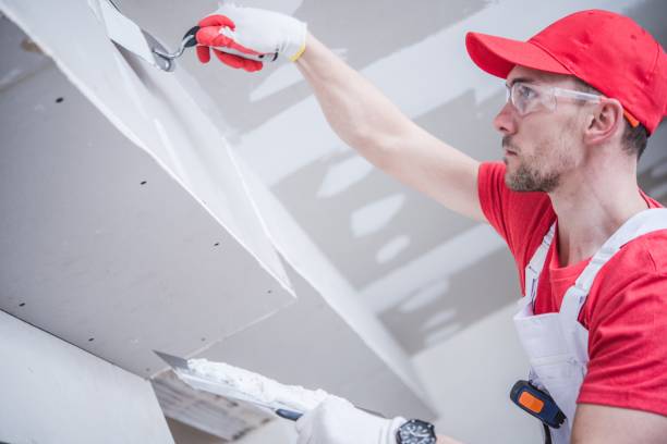 Best Industrial Mold Remediation  in Lakewood, IL